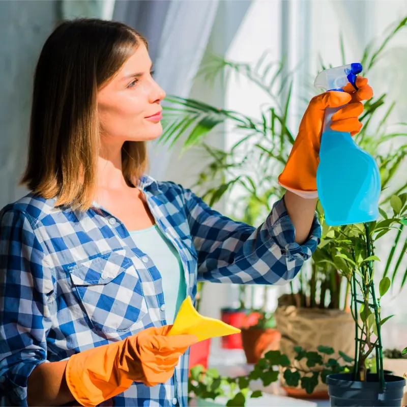 woman professional cleaner at home during eco-friendly professional house cleaning services