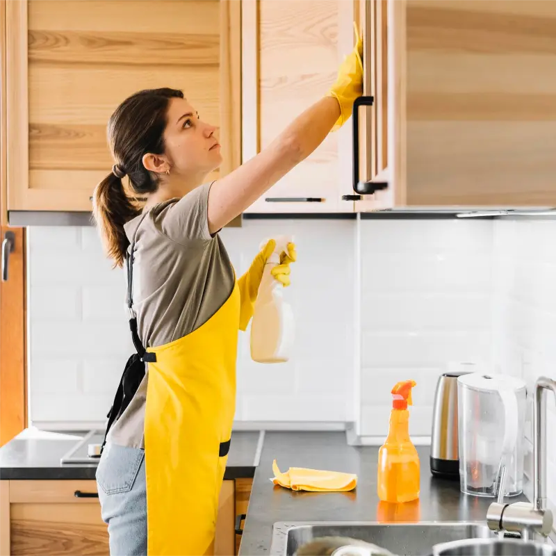 women professional cleaner during eco-friendly professional house cleaning services