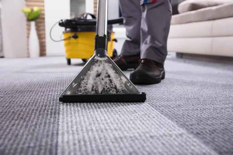 A professional cleaner vacuuming the carpet during carpet cleaning