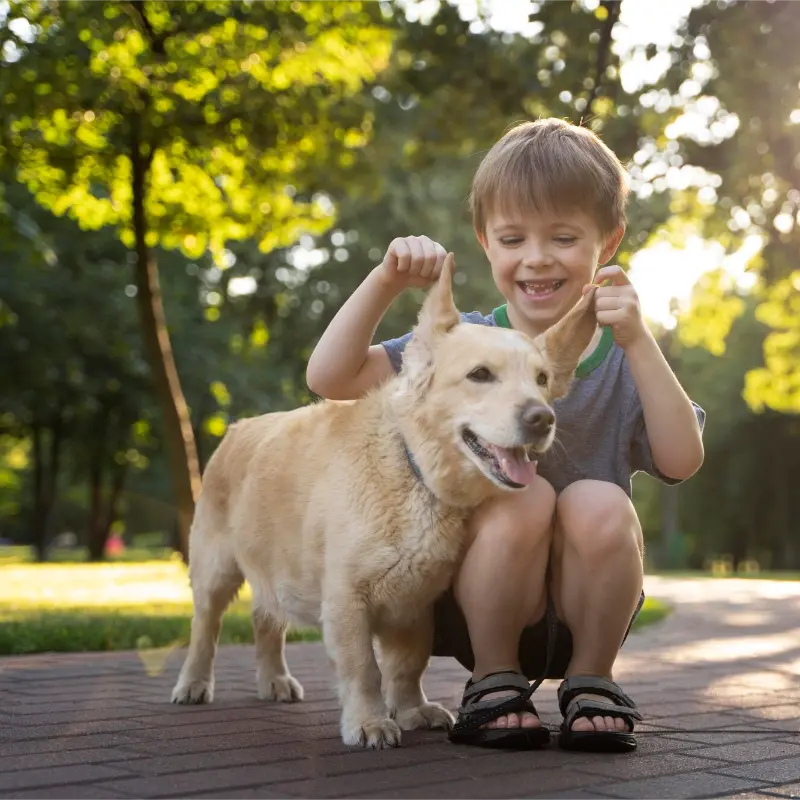 kid playing with the pet after eco-friendly cleaning