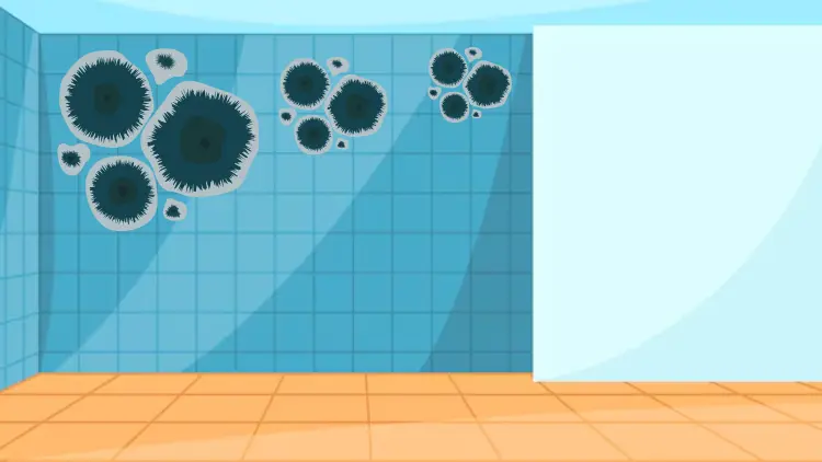 Bathroom ceiling mold