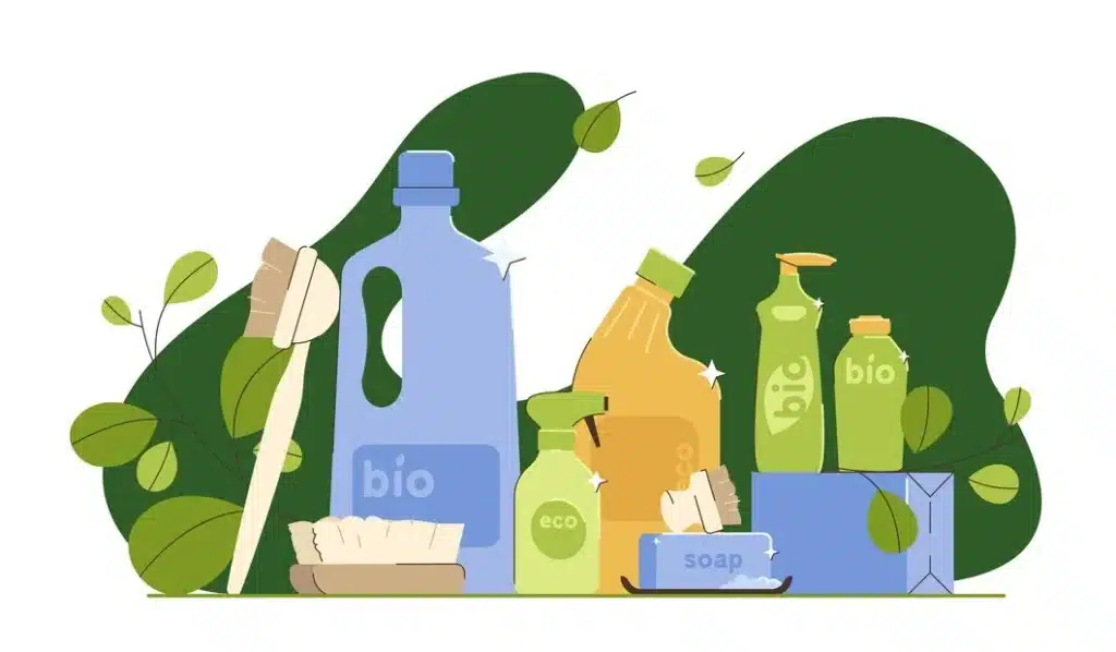 Eco-friendly same-day cleaning with sustainable products and green results