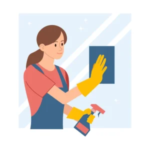 professional house cleaning services