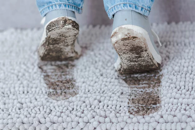 Bacteria from dirt on carpet