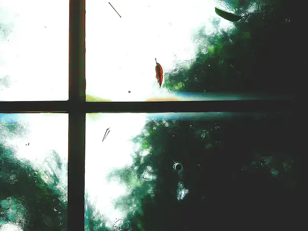 Dust on Outside Windows