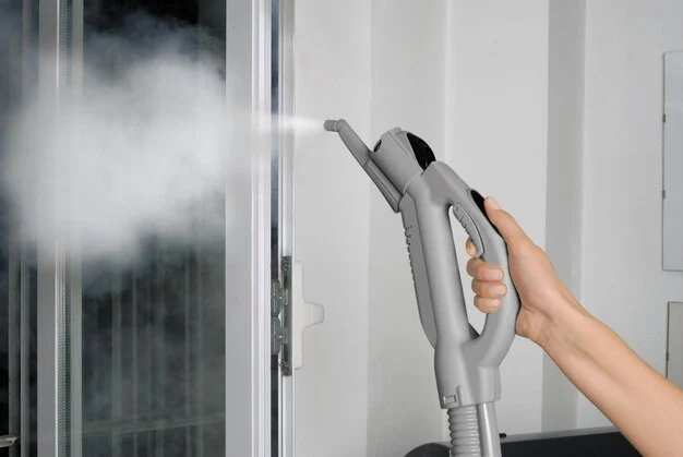 Why choose Steam cleaning for Windows