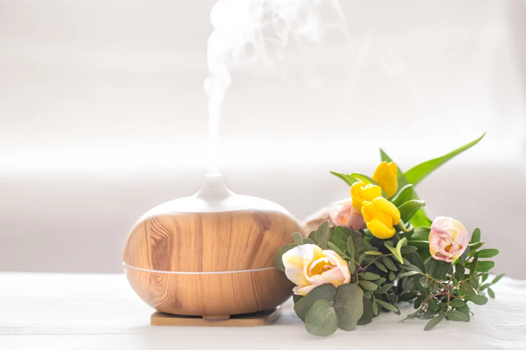 What are Nature's Air Purifiers?