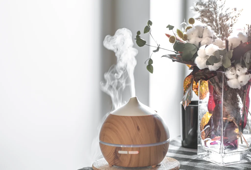 Best Plants for Different Rooms