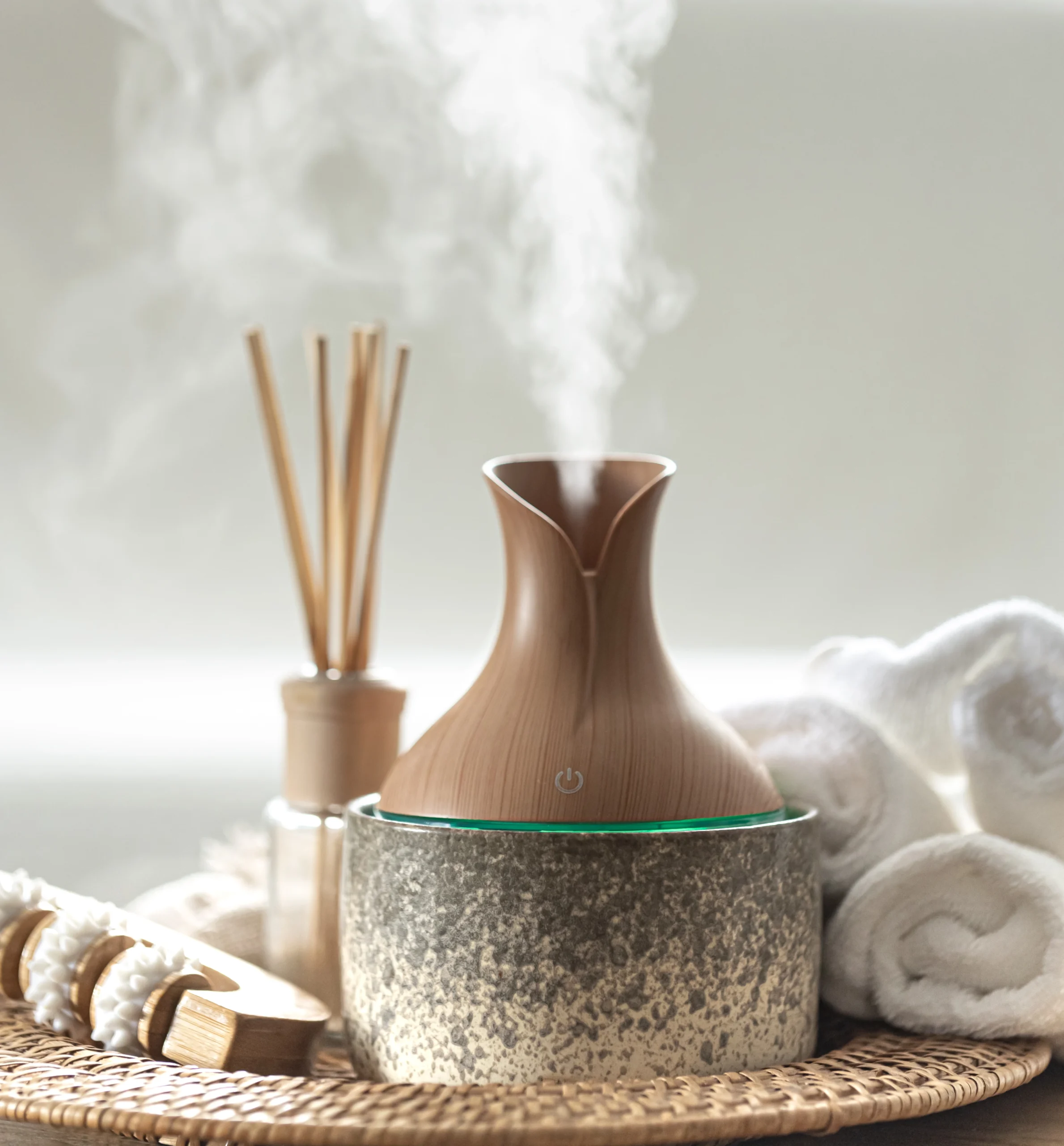 Nature's Air Purifiers