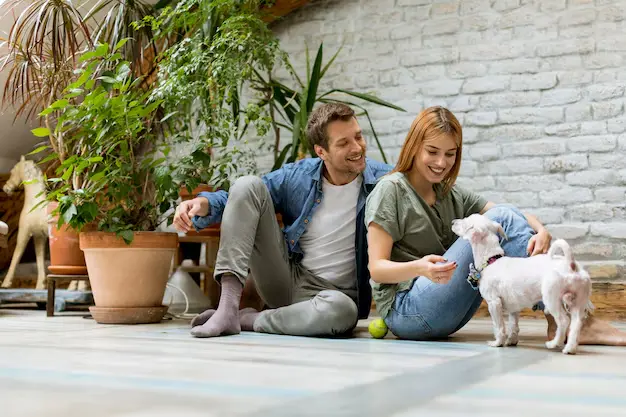 Young couple enjoying eco-friendly cleaning services in North York home