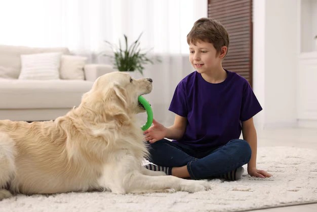 Kid playing with pet at his home after eco-friendly services in Edmonton home