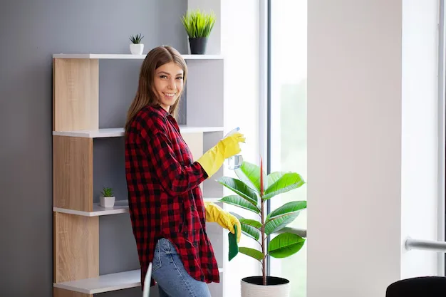Woman professional cleaner cleaning to make a spotless home during eco-friendly cleaning services in Hamilton and Burlington