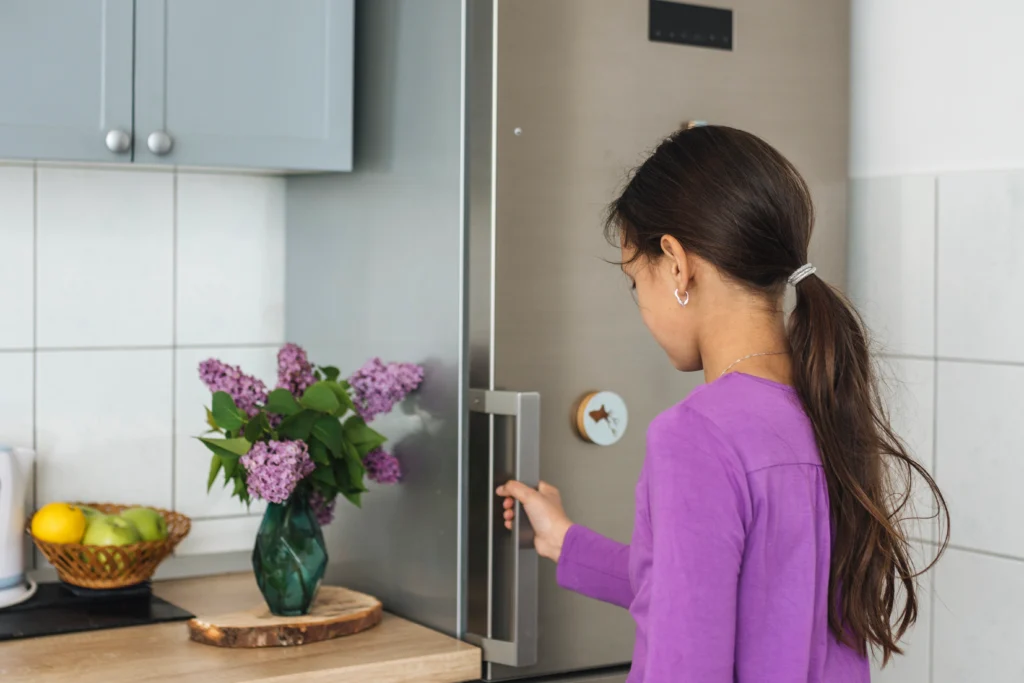 Cleaning Stainless Steel Fridge Handles and Edges