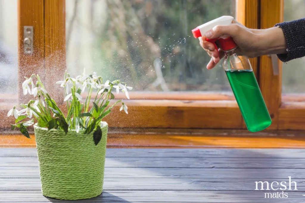 Eco-friendly cleaning services in Vancouver by Mesh Maids