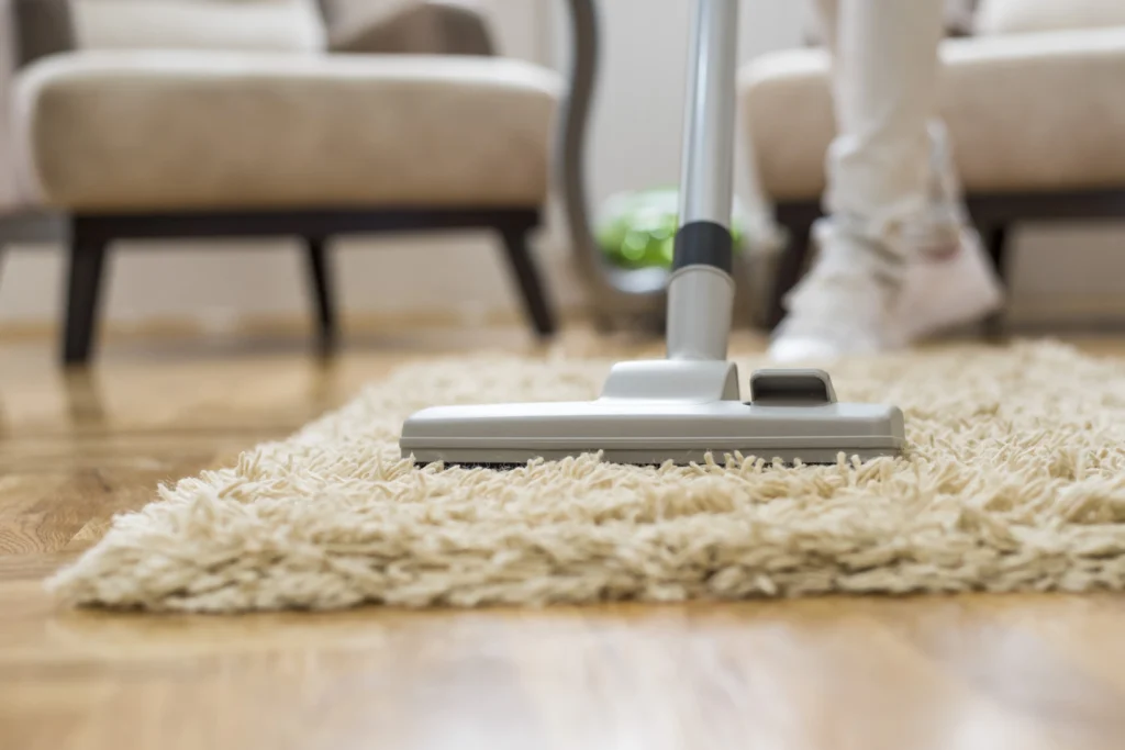Mesh Maids cleaner cleaning carpet during carpet cleaning services