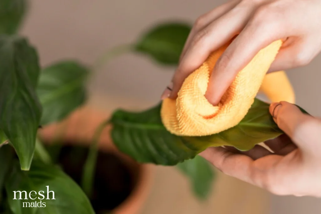 Eco-friendly cleaning services in Richmond by Mesh Maids