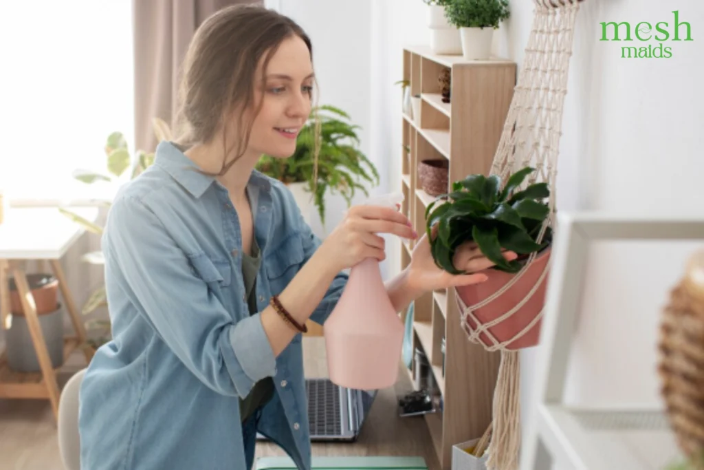 Eco-friendly cleaning services in Surrey, White Rock and Delta by Mesh Maids