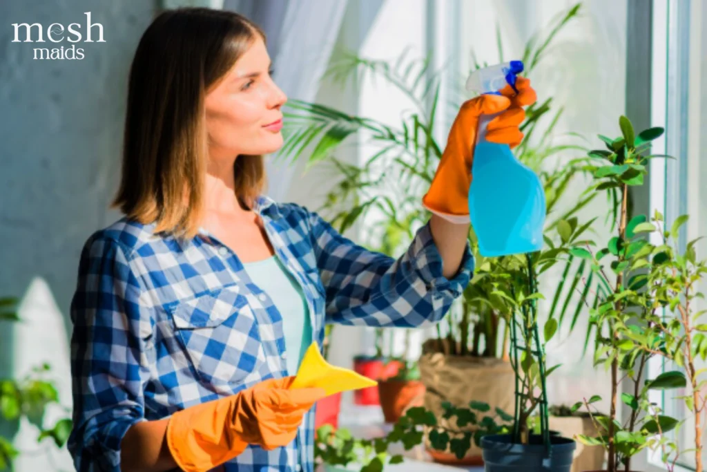 Eco-friendly cleaning services in Maple Ridge by Mesh Maids