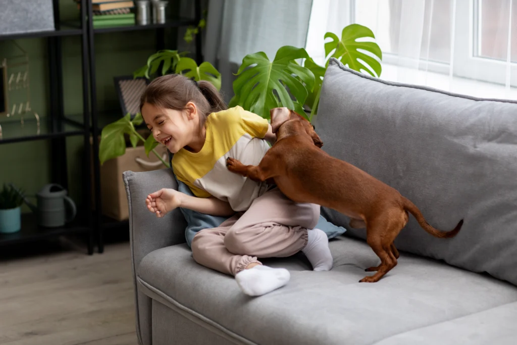 Kid enjoying with pet after hiring Mesh Maids cleaning services in Burnaby and New Westminster