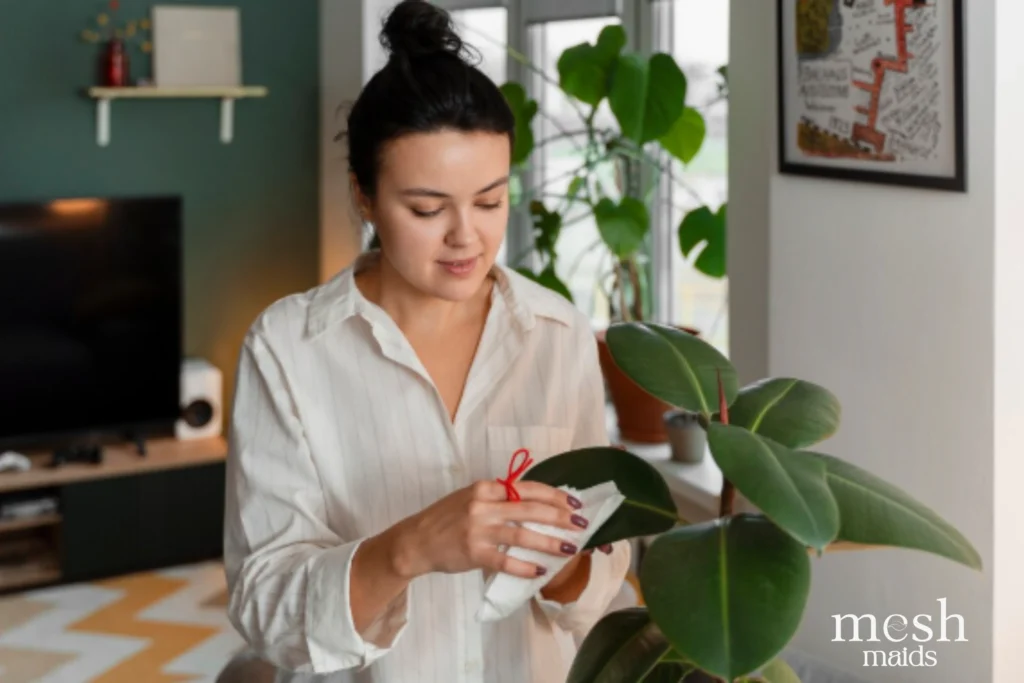Eco-friendly cleaning services in Kelowna, Lake Country & Vernon by Mesh Maids