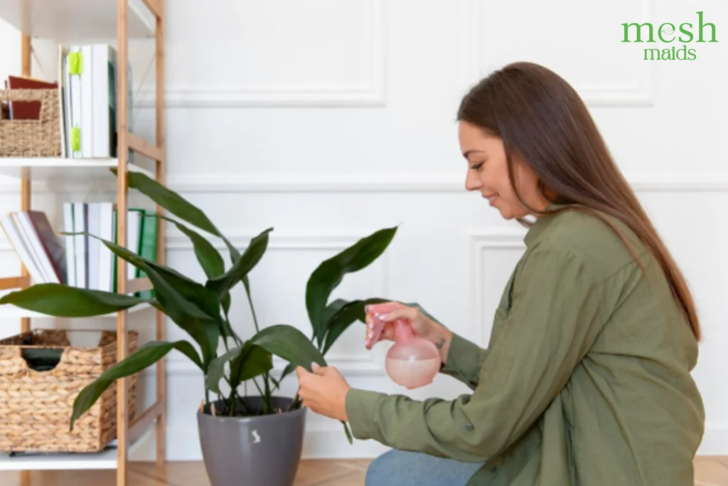 Eco-friendly cleaning services in Coquitlam, Port Coquitlam & Port Moody by Mesh Maids